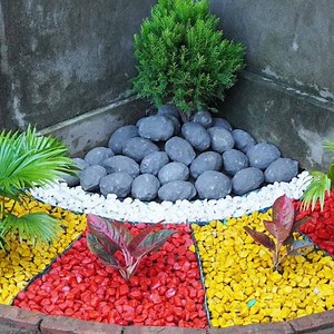 305K views · 3.9K reactions | Decorate The Corner Of The Wall Into A Beautiful Small Garden | Balcony Garden Ideas | Facebook