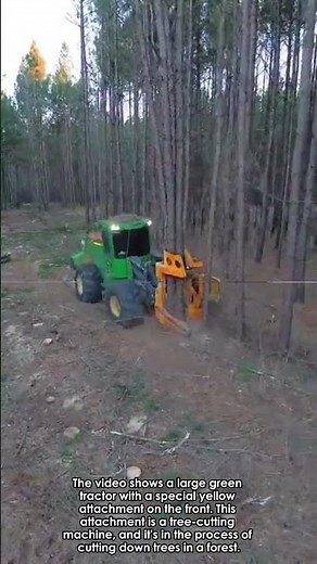 Forestry in Action: A Tree-Cutting Machine at Work