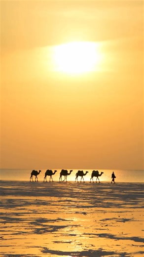 The "magic" of Africa The cradle of humanity: Africa holds a unique and profound place in human history as the oldest inhabited continent on Earth. The earliest human ancestors and modern humans originated in East Africa, giving rise to the nickname "Mother Continent". Learn more: Great Image Expedition | Great Image Expedition