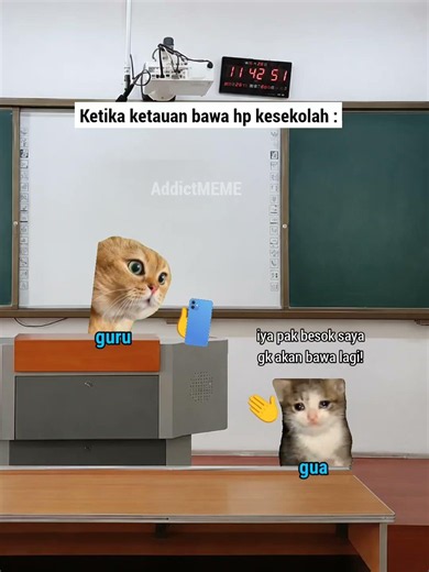 Ketika ketauan bawa hp kesekolah #meme #kelas #sekolah #kucing