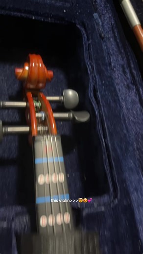 Affordable Rixton Violins for Aspiring Musicians