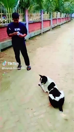 Ashik Mahmud (@ashik.mahmud803)’s videos with original sound - Ashik Mahmud
