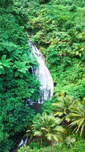 A Special Episode | Strick & Fran