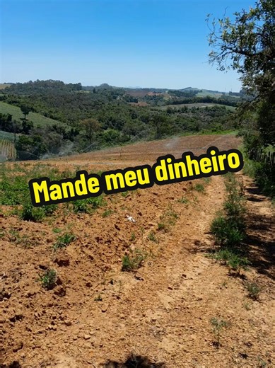 O trem tá feio #humor #letisgo #comedia #registrodevidacomhumor #audiosengraçados