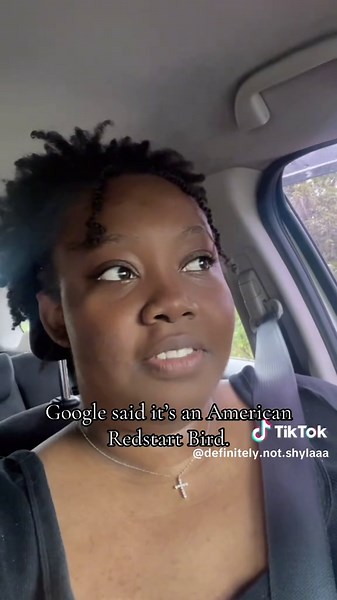 I know it’s not that funny but you didn’t hear how LOUD those thumps were😂. Bro fully threw himself into to the window repeatedly defending God knows what😂😂😂 #fyp