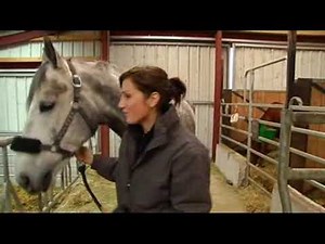 Sonia réalise son rêve, avoir son propre cheval