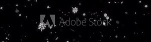 Winter snowfall, snow animation. Isolated snow falling on a transparent background. Realistic snow fall animation. Falling snow flakes overlay. Alpha channel