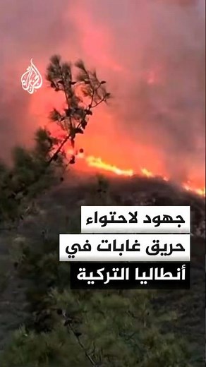 Turkish authorities intensify efforts to contain forest fire in Antalya