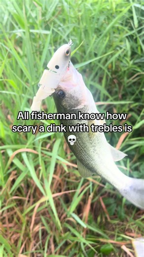 Bass Fishing Tips: Handling Dinks with Trebles