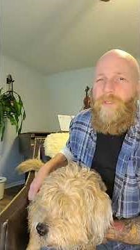 How to Get an Emotional Support Animal Letter Legally: What You MUST Know!