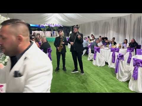 Formatia Mita Internationalul Nunta Ghidici Petrisor si Alexandra Melodia mirilor live 2025