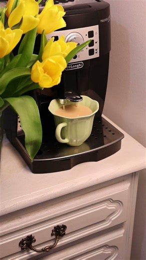 Breathtaking Beauty of Flowers 🌷 | Relaxing TV Screensaver 🌷