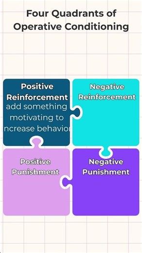 How Do Dogs Learn? Classical and Four Quadrants of Operant Conditioning Explained