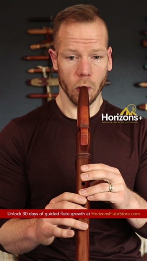 The Traveler | 1239 Werner John Mid G Native Flute