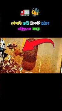 মৌমাছি ভর্তি ট্রাকটি যখন এক্সিডেন করে 🤯🐝 || Movie Explanation in Bangla || Cine Press || #shortsfeed