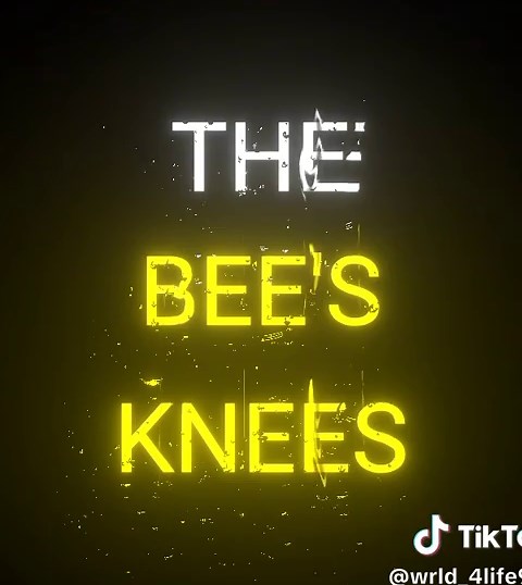 The Bee's Knees: Juice WRLD's Musical Mastery