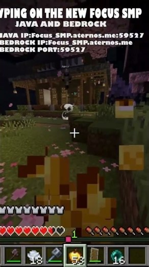 Join focus smp now!!