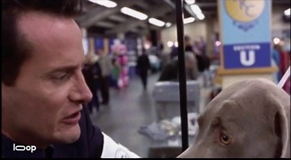Best in Show (2000) ⭐ 7.5 | Comedy
