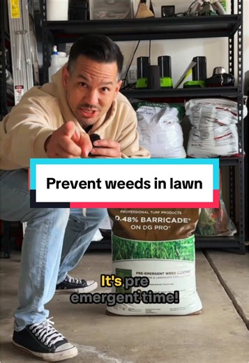 Prevent Weeds in Your Lawn with Revolutionary Techniques