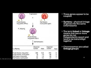 Gene linkage Part 1