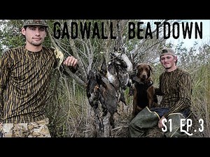 Duck Hunting: Grey Ducks Were LOADED in Here!