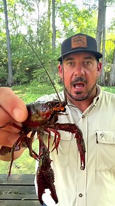 71K views · 2.1K reactions |  More Interesting Info  1. Predator...