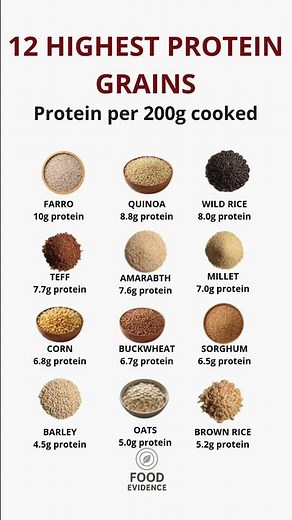 12 Grains With the Highest Protein 🌾💪 #healthyeating