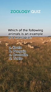 51K views · 1K reactions | Zoology Quiz | Test your knowledge of the animal kingdom and its diverse inhabitants with this engaging zoology quiz! #zoology #animals #education #school #quiz #fyp #fbreels #reels #reelsfb #animalworld #study #quizbee | Quiz Buddy | Facebook