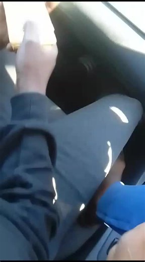 pit bull (@pit.bull983)’s videos with original sound - pit bull