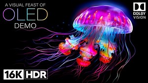 【16K HDR】OLED测试视频 - 16K HDR 120FPS DOLBY VISION DEMO -|极致画质|杜比视界|电视屏幕测试|手机屏幕测试 |