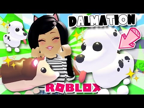 *NEW* 🖤DALMATIAN DOG & HEDGEHOG🖤Pets in ADOPT ME ROBLOX Dress Your Pet Update