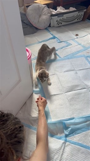 14K views · 345 reactions | Bumble is on the MOVE! We're so happy to...