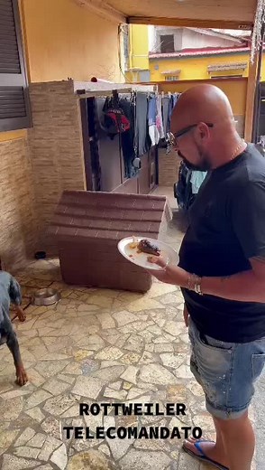 ROTTWEILER TELECOMANDATO 🐾🎮
