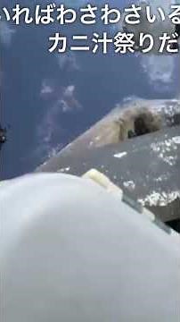 テトラでトゲクリガニが簡単にとれる