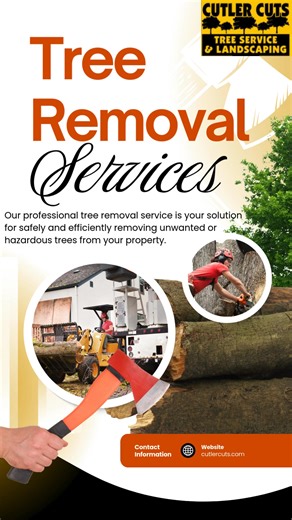 Safe & Professional Tree Removal with Cutler Cuts! Got a tree that’s overgrown, damaged, or in the way? Cutler Cuts is here to handle it safely and efficiently. Our experienced team takes care of everything, leaving your property clean and hazard-free! 🪓✨ Call us today for expert tree services you can trust. #CutlerCuts #TreeRemoval #TreeCare #ProfessionalTreeService #SafeTreeRemoval #PropertyMaintenance #TreeExperts #LandscapingSolutions | Cutler Cuts