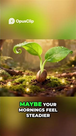 Your New Life: May you have presence, regulation, and choice #meditation #somatichealing