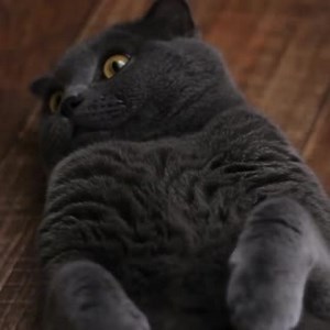 24K views · 185 reactions | 20% OFF ON ALL ITEMS AT WWW.FANTASMAGORIA.EU with code BLACKFRIDAY Use it until 2nd of December, 2019. 20% discount is valid on sale items too! Everything is in stock and ready for quick delivery worldwide! | Fantasmagoria | Facebook