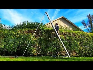 Trimming OVERGROWN SHRUBS From Start to Finish - SATISFYING TRANSFORMATION