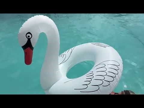 Inflatable Pool Floats, Solar Powered Large Swan Pool Float Adult, LED Color Changing Swan Floaties