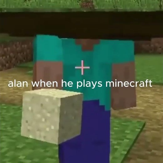 pov alan playing minecraft its my freand by the way