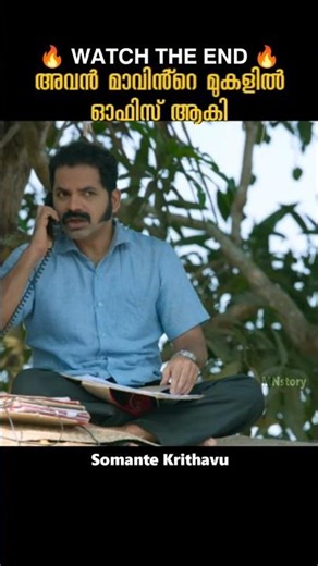 അവൻ മാവിന്റെ മുകളിൽ ഓഫീസാക്കി 🔥/MNstory #shorts #shortsvideo