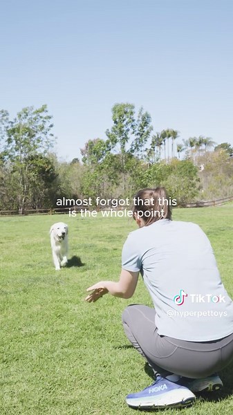 Strengthening Your Bond with Interactive Dog Toys