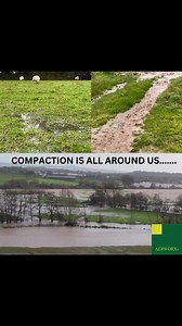 THE IMPACT OF AERWORX. #infiltration #FarmResilience #SoilHealth #WaterLogging #flooding #Aeration #compaction Niels Corfield Gwynne's Machinery Sales | AerWorx