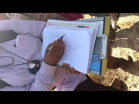 Geological Field demonstration by Prof. T. K. Biswal, Part 6/9 (Riedel Fracture)