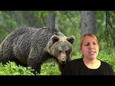 Brian’s Winter: Chapter 2