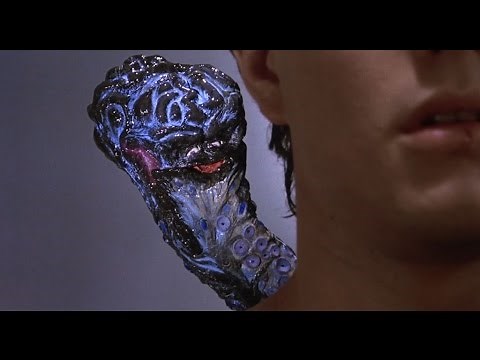 Brain Damage Clip - Elmer Arrives