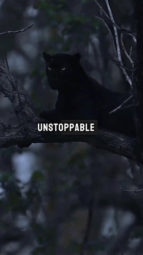 The Secret to Being UNSTOPPABLE | Brian Tracy
