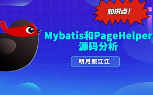 mybatis及PageHelper源码解析教程合集