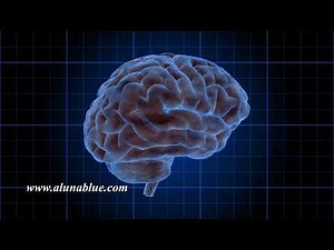 Brain Stock Footage 1003 HD, 4K