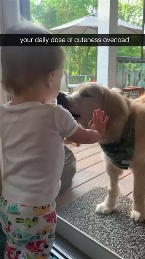 In case you needed a reason to smile today! #puppy❤️ #babylaughing #babyandpuppy
